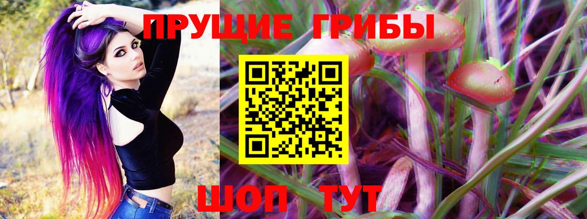Псилоцибиновые грибы GOLDEN TEACHER  Вход с VPN  Москва 