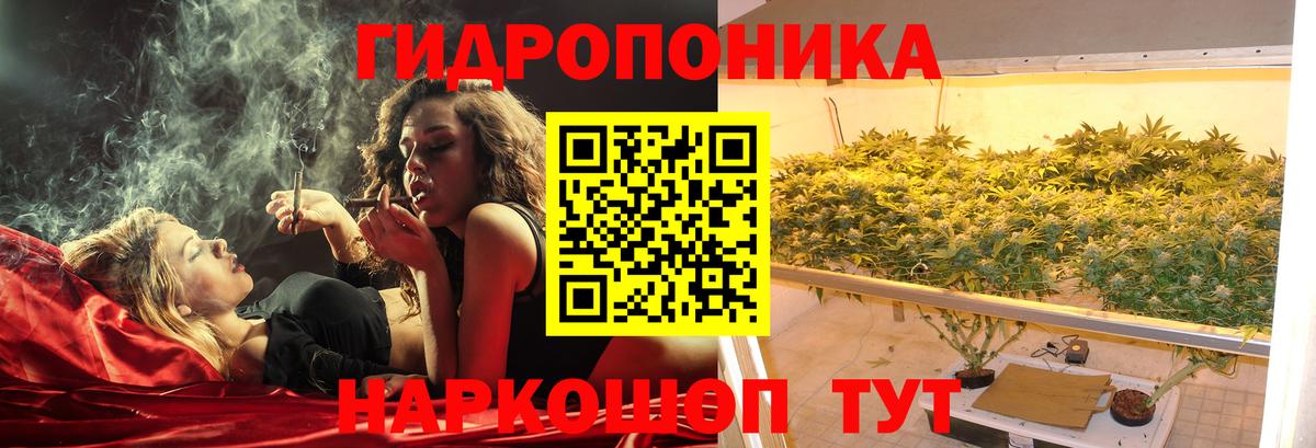 Шишки марихуана White Widow  Канабис сатива  Москва  Марихуана планчик  Вход с VPN 